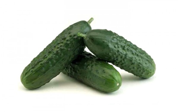 Spanish cucumber