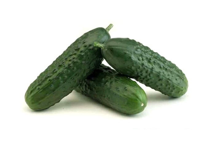 Spanish cucumber