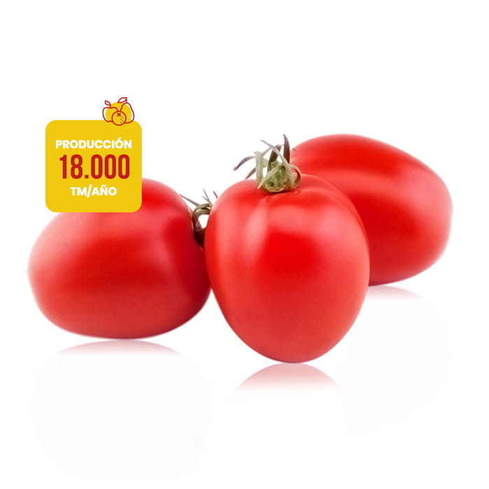 tomate-pera