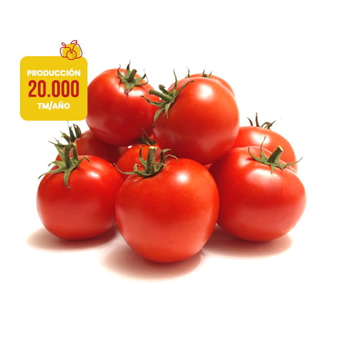 tomate-redondo