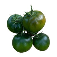 tomate-ensalada