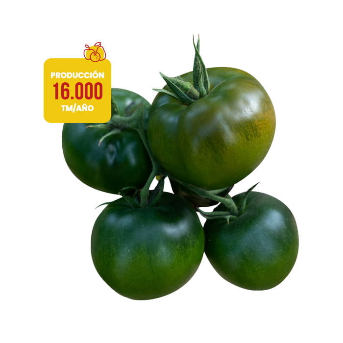 tomate-ensalada