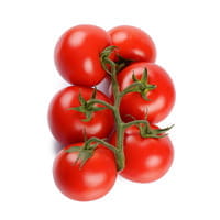 tomate-rama