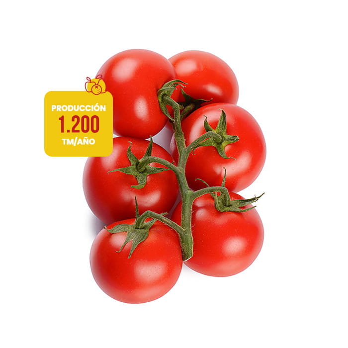 tomate-rama